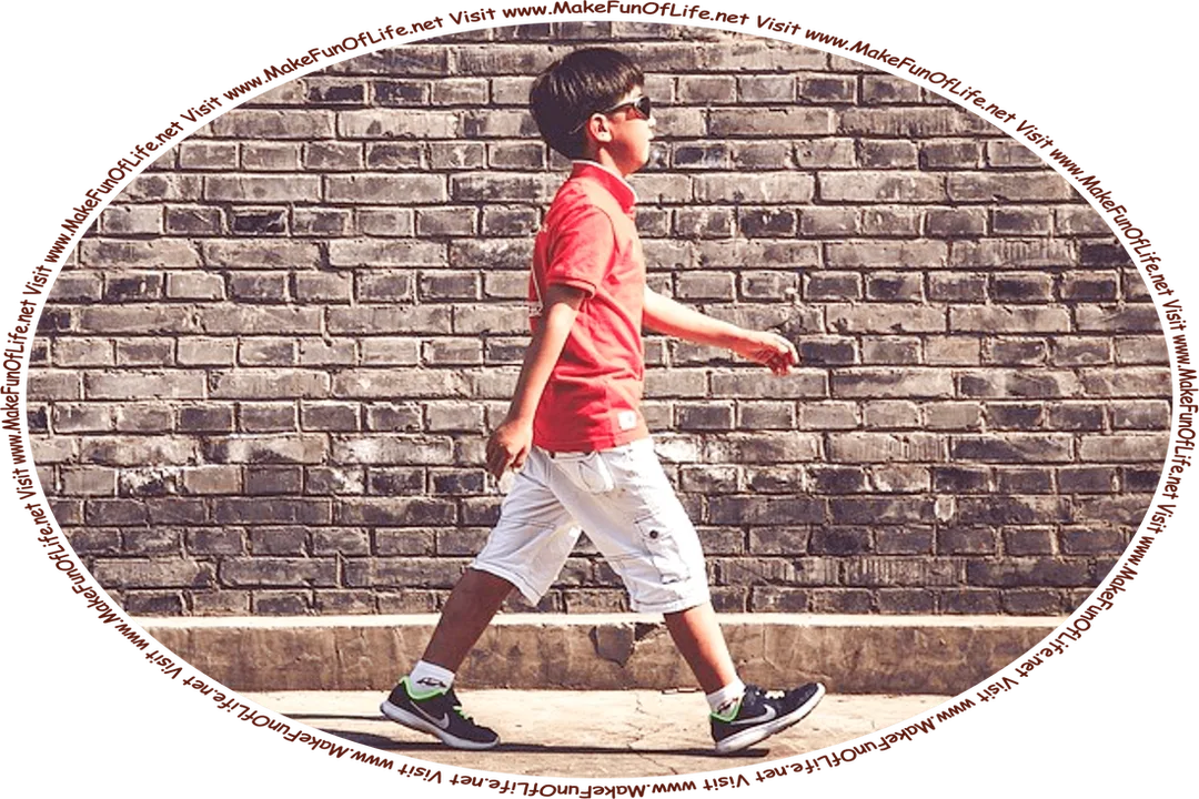 Picture of a boy going on a walk outdoors, and the words, ‘Visit www.MakeFunOfLife.net.’