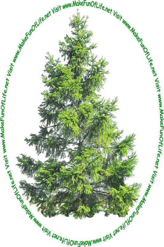 Picture of a pine tree with green needles and the words, 'Visit www.MakeFunOfLife.net.'
