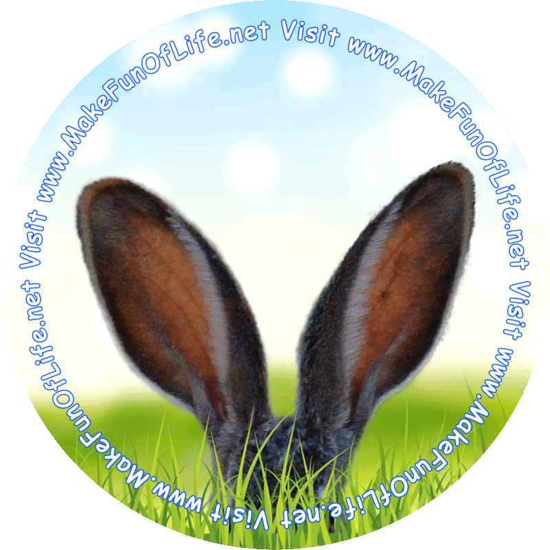 Picture of a pair of bunny ears visible just above green grass, with the rest of rabbit hidden from sight.