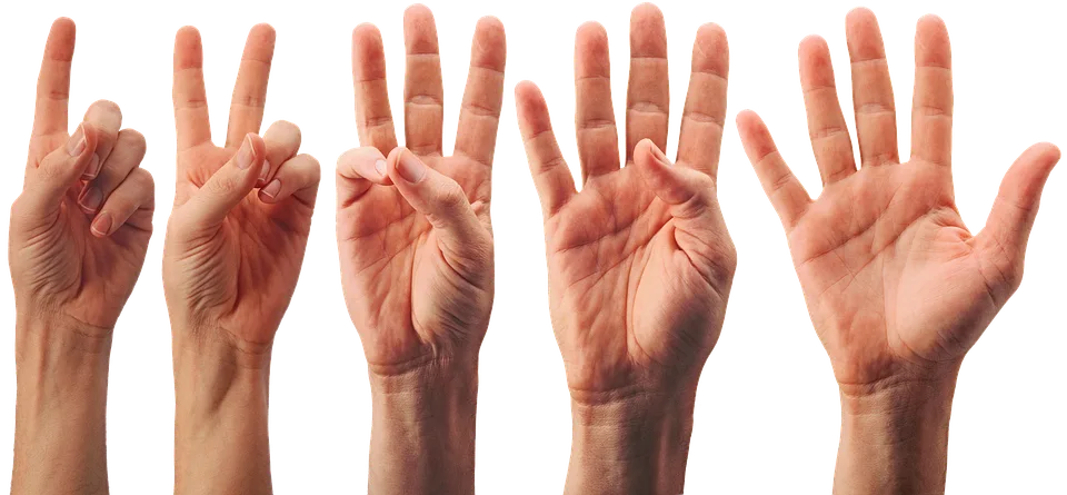 Picture of human hands holding up one to five fingers.