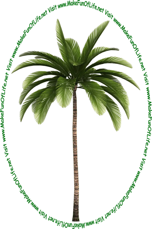 Picture of a tall leafy green palm tree and the words, 'Visit www.MakeFunOfLife.net.'
