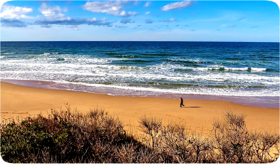 Picture of a person walking along a sandy shore of the ocean.