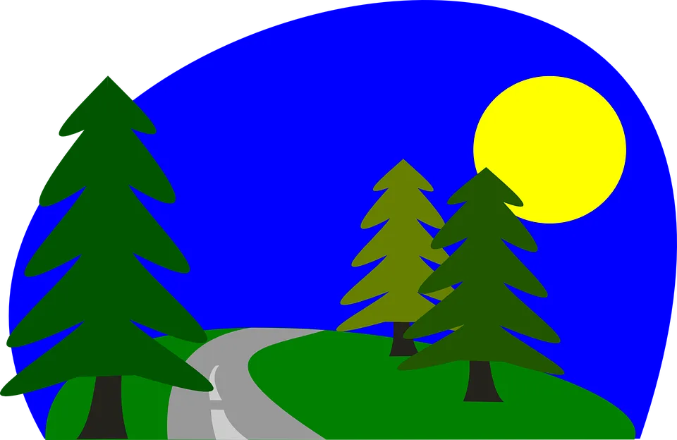 Picture
