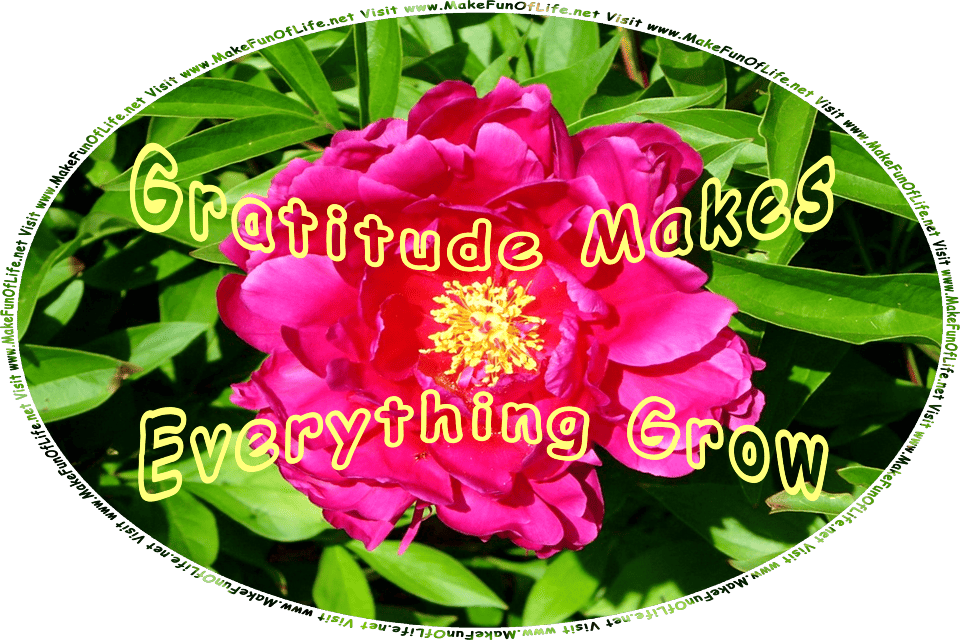 Picture of a large pink zinnia flower, and the words, Gratitude Makes Everything Grow - Visit www.MakeFunOfLife.net.