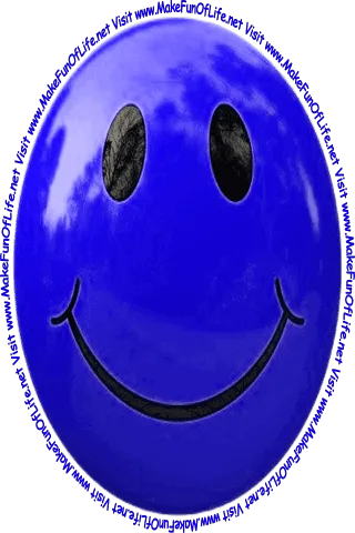 Picture of a medium-dark-blue smiley face and the words, 'Visit www.MakeFunOfLife.net.'