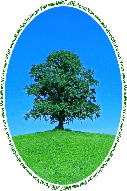 Picture of a green leafy tree in a green grassy field with a clear blue sky overhead and the words, 'Visit www.MakeFunOfLife.net.'
