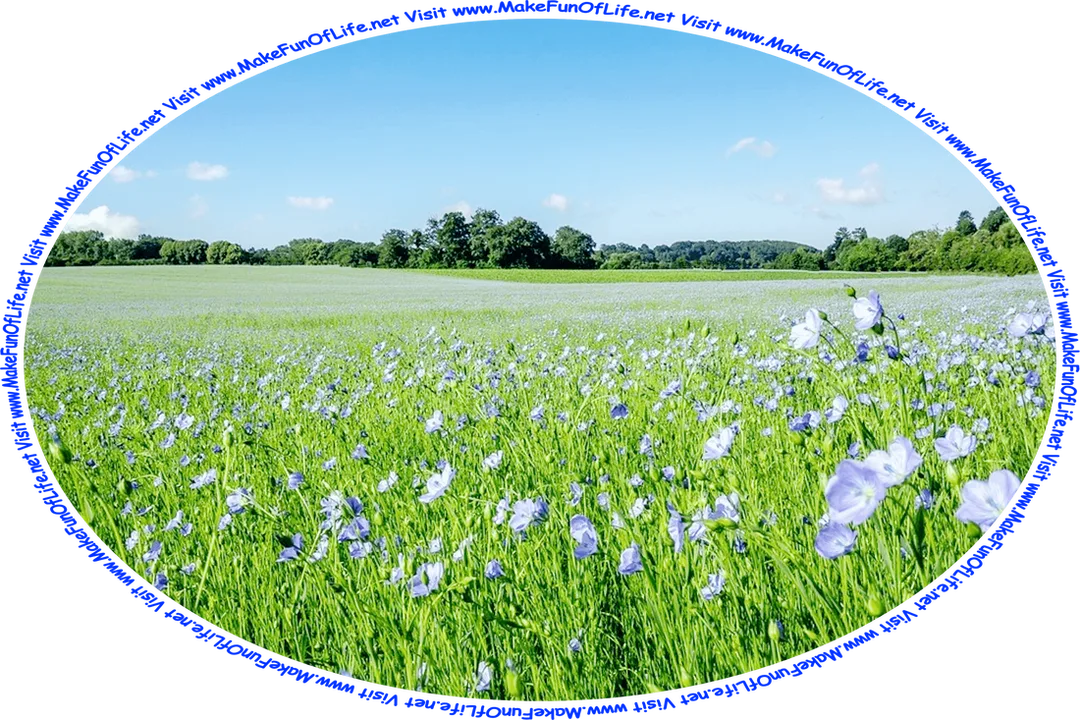 Picture of a meadow of flowering plants with blue blossoms, trees in the far background, a blue sky, a few tiny fluffy white clouds, and the words, ‘Visit www.MakeFunOfLife.net.’