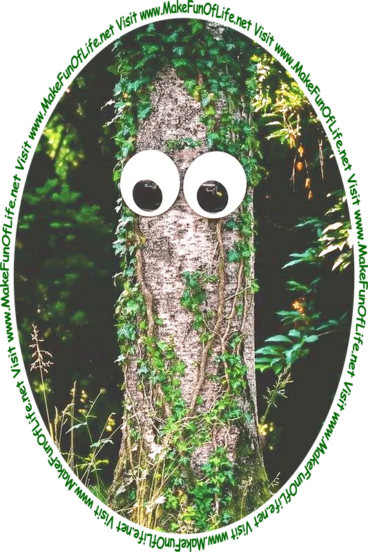 Picture of a tree trunk with green leafy climbing ivy growing on it and a pair of whimsical plastic googly eyes attached to it and the words, 'Visit www.MakeFunOfLife.net.'