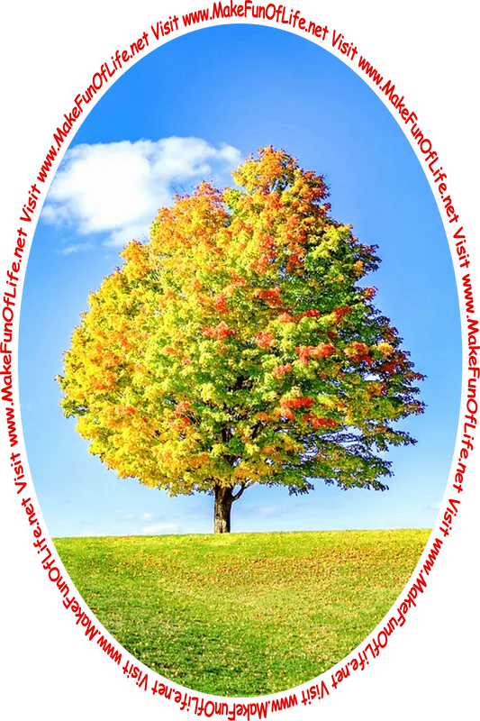 Picture of a tree in Autumn with leaves turning colors from green to orange and yellow and the words, 'Visit www.MakeFunOfLife.net.'