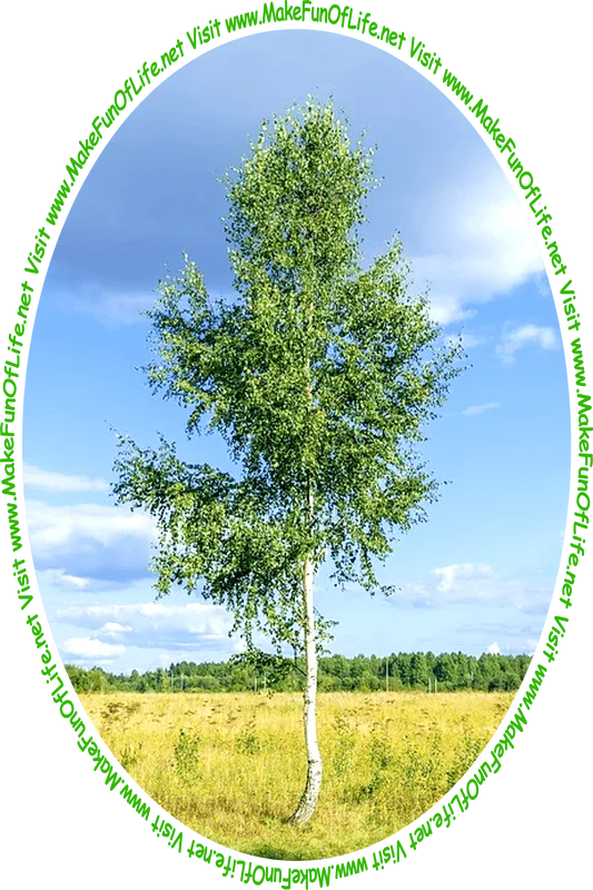 Picture of a tree in a field in summertime and the words, 'Visit www.MakeFunOfLife.net.'