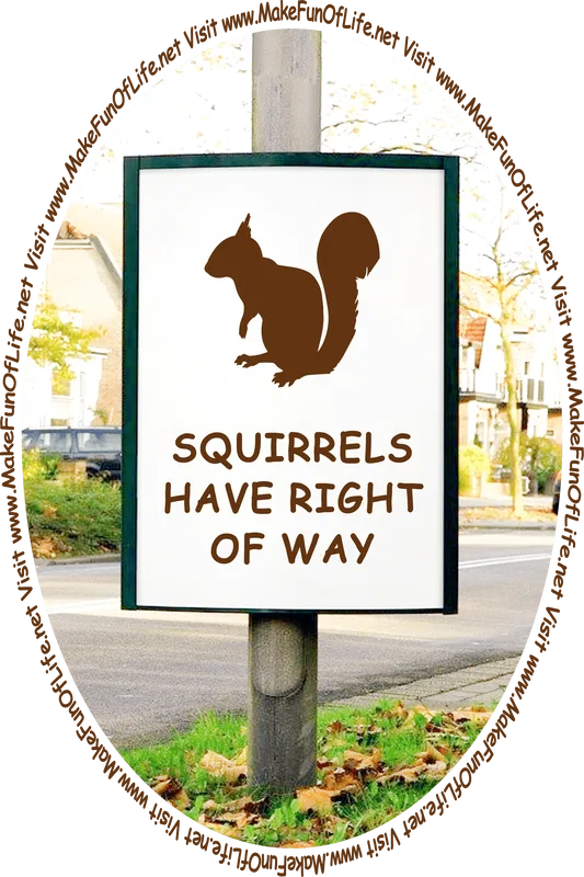 Road sign alongside a residential street, with a picture of a squirrel on it and the words, ‘Squirrels Have Right Of Way - Visit www.MakeFunOfLife.net.’