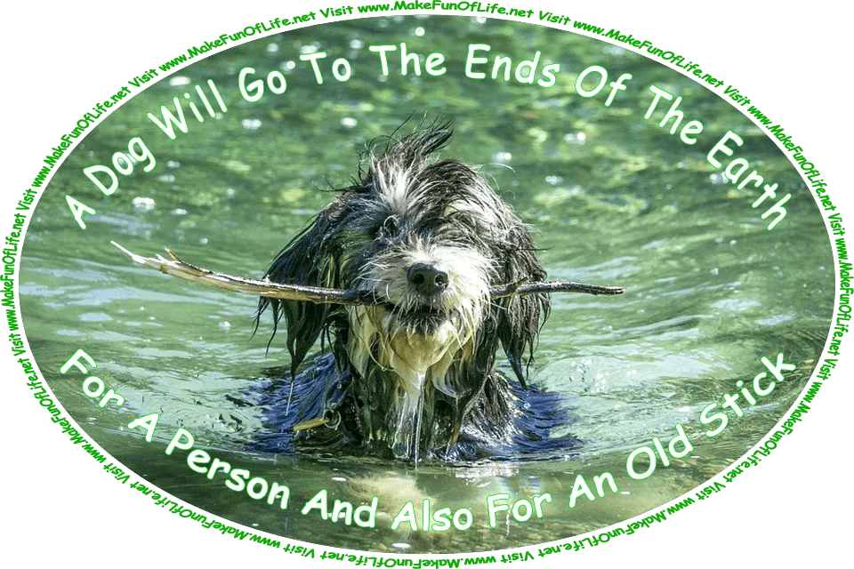 Picture of a domestic dog with long hair covering its eyes and a fetched stick in its mouth as it swims through water, and the words, ‘A Dog Will Go To The Ends Of The Earth - For A Person And Also For An Old Stick - Visit www.MakeFunOfLife.net.’