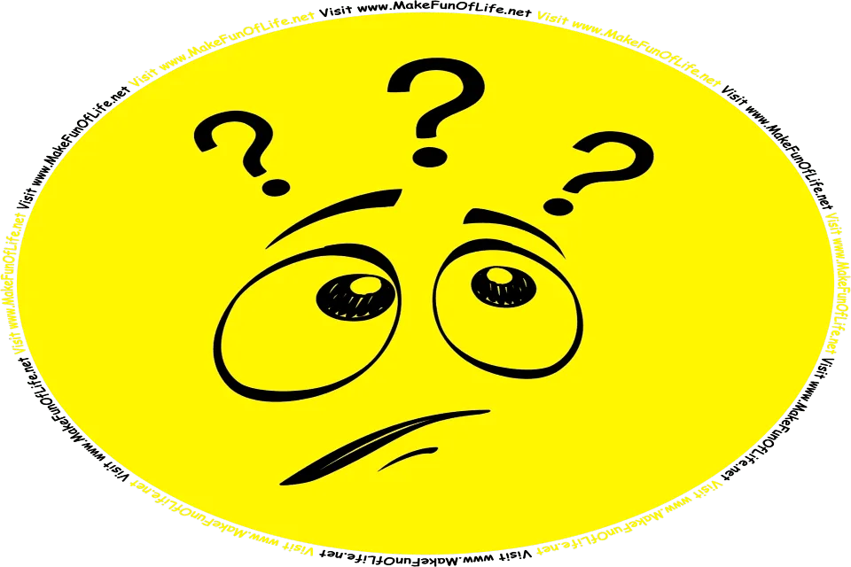 Picture of a confused cartoon face glancing upward at three question marks floating above it, and the words, Visit www.MakeFunOfLife.net.