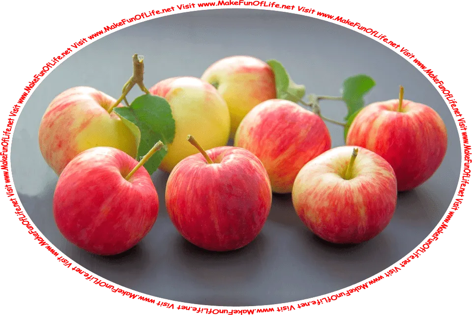 Picture of eight ripe apples, and the words, ‘Visit www.MakeFunOfLife.net.’