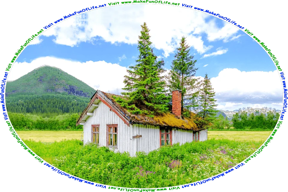 Picture of a small abandoned wooden house in a flower meadow, with three evergreen trees growing inside it and up through its roof, evergreen pine trees and leafy green deciduous trees in the distance, and mountains further away, a blues sky with fluffy white clouds above, and the words, Visit www.MakeFunOfLife.net.