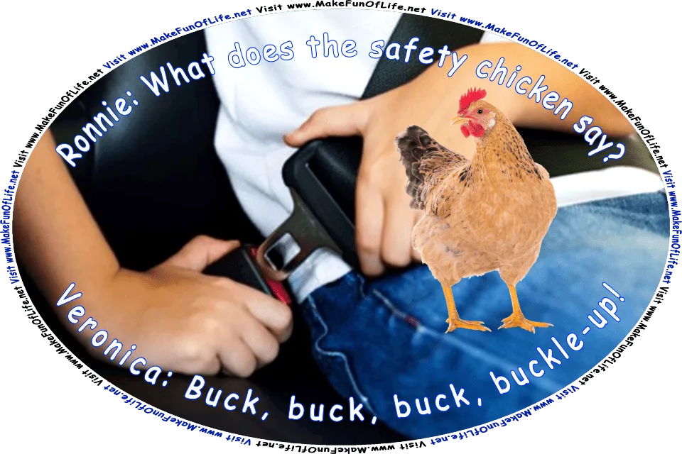 Picture of a person buckling the seatbelt while seated in an automobile, and the words, Ronnie: What Does The Safety Chicken Say? Veronica: Buck, buck, buck, buckle-up! Visit www.MakeFunOfLife.net.