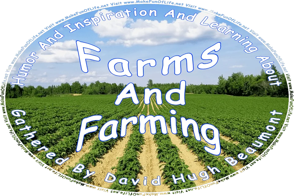 Picture of a large farm field of leafy green potato plants in rows, under a blue sky with fluffy white clouds, and the words, Humor And Inspiration And Learning About Farms And Farming Gathered By David Hugh Beaumont - Visit www.MakeFunOfLife.net.