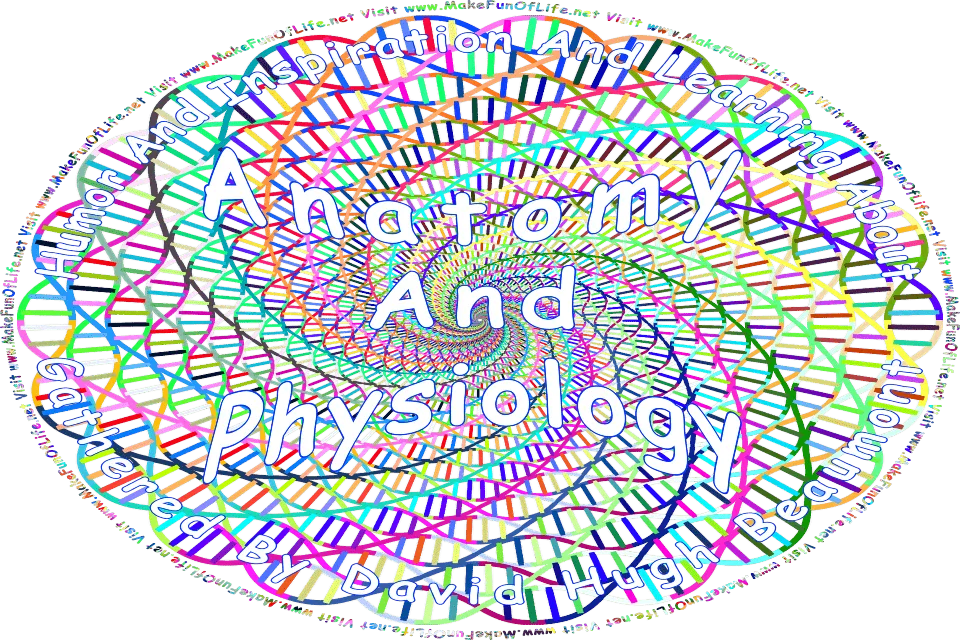 Picture of colorful DNA strands arranged in a concentric circular pattern, and the words, Humor And Inspiration And Learning About Anatomy And Physiology Gathered By David Hugh Beaumont - Visit www.MakeFunOfLife.net.