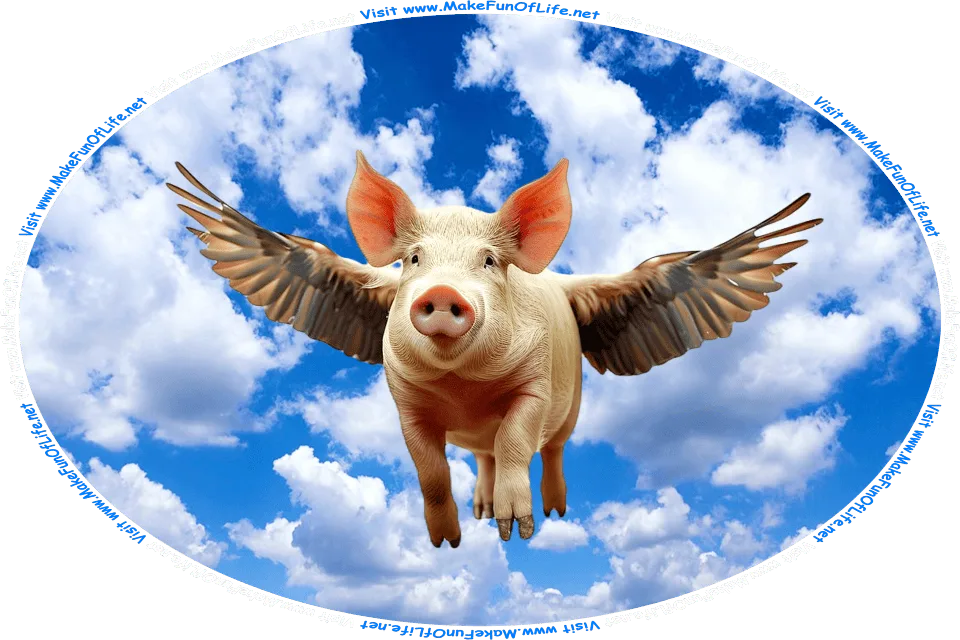 Picture of a pig with wings flying in a blue sky with fluffy white clouds, and the words, Visit www.MakeFunOfLife.net.