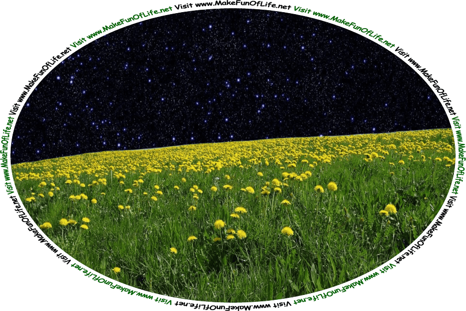 Picture of a field of dandelions with dark green leaves and bright yellow blossoms under a nighttime sky filled with stars, and the words, ‘Visit www.MakeFunOfLife.net.’
