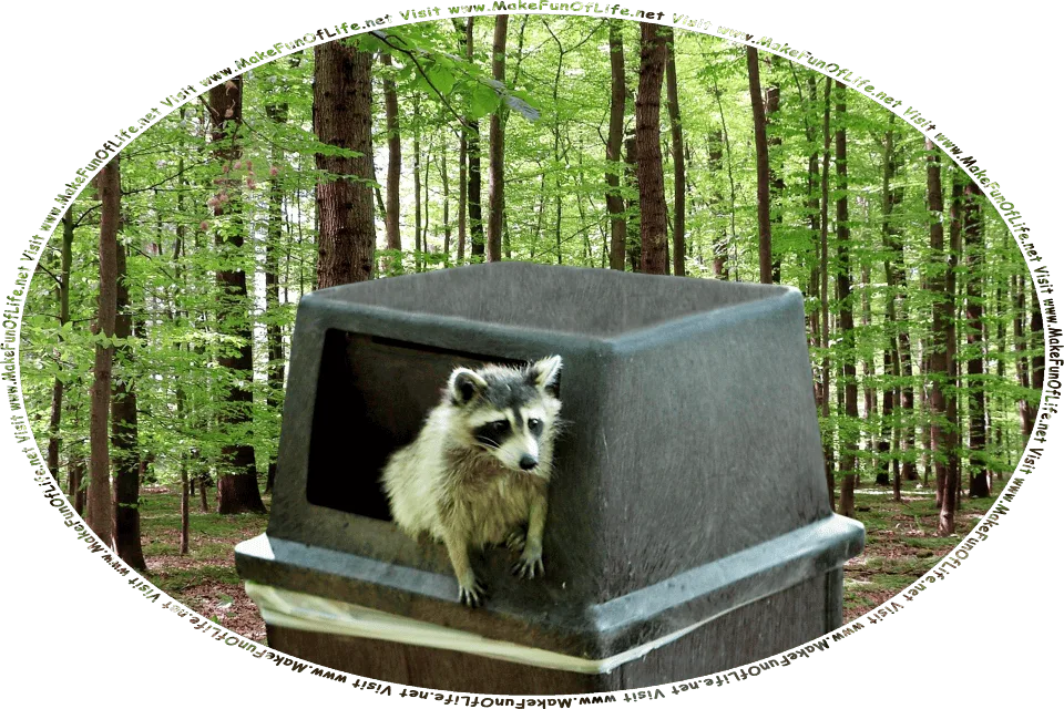 Picture of a raccoon climbing out of a garbage can in a tree-filled park, and the words, Visit www.MakeFunOfLife.net.