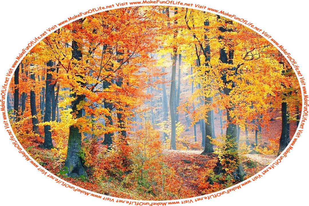 Picture of a woods in Autumn with leaves having changed from greens to yellows and oranges and browns, with a shaft of bright sunlight coming through between the trees to light up the brown leaves on the ground, and the words, ‘Visit www.MakeFunOfLife.net.’