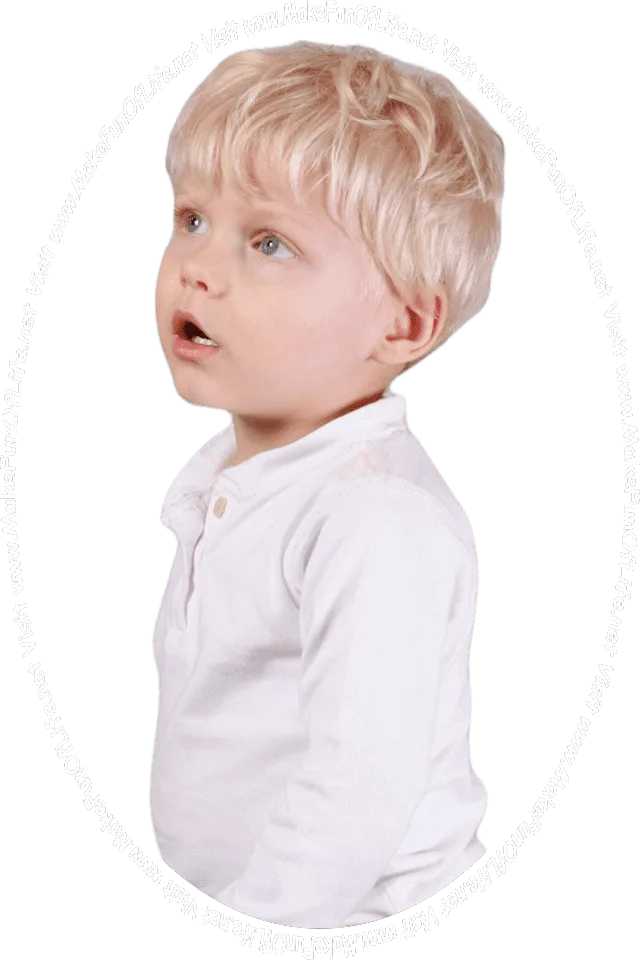 Picture of a young boy looking at the words and pictures on the website and the words, 'Visit www.MakeFunOfLife.net.'