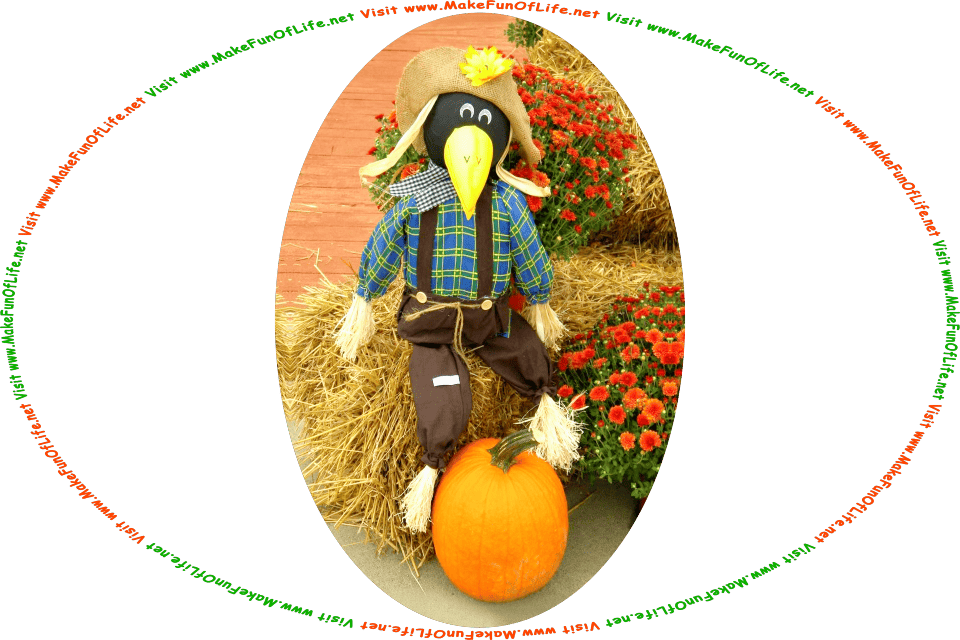 Picture of a crow as a scarecrow, or a silly scarecrow made from a straw-stuffed pair of pants and shirt, a head that looks like a black crow with a beak, and the words, Visit www.MakeFunOfLife.net.