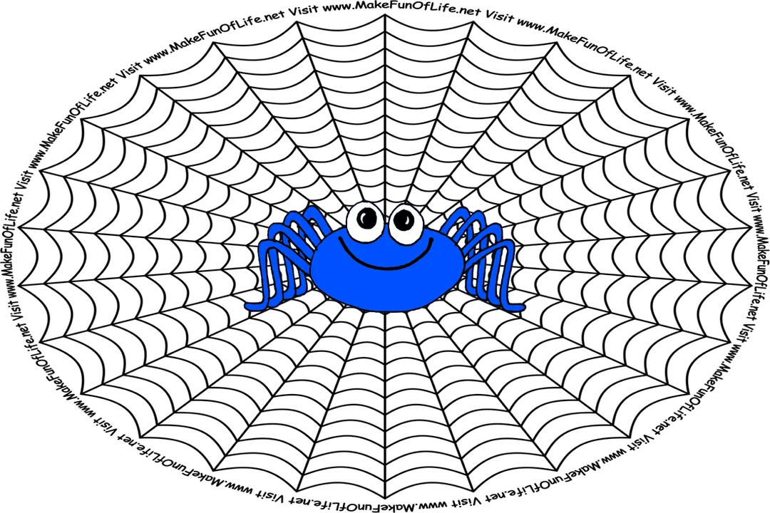 Picture of a happy smiling spider at the center of a spider web, and the words, ‘Visit www.MakeFunOfLife.net.’