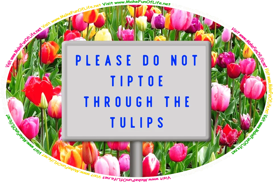 Picture of a sign reading, ‘Please Do Not Tiptoe Through The Tulips,’ in a field of brightly colored tulip flowers with pink and red and orange and maroon blossoms and dark green leaves, and the words, ‘Visit www.MakeFunOfLife.net.’