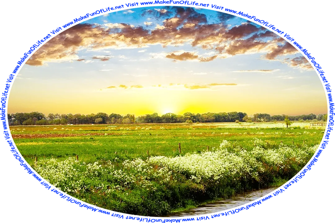 Picture of the morning Sun rising over a field of flowering plants with white blossoms, red blossoms, and yellow blossoms, and the words, ‘Visit www.MakeFunOfLife.net.’