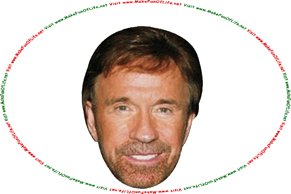 Picture of happy smiling Chuck Norris wearing a red and white Santa Claus hat, and the words, Visit www.MakeFunOfLife.net.
