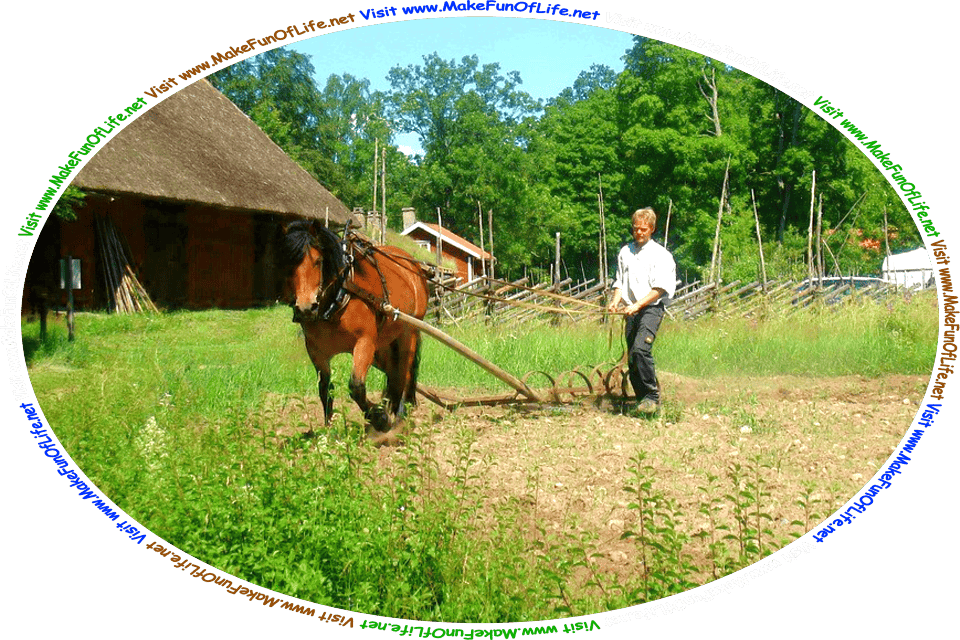 Picture of a of a man behind a plow being pulled by a horse over a field, and the words, ‘Visit www.MakeFunOfLife.net.’
