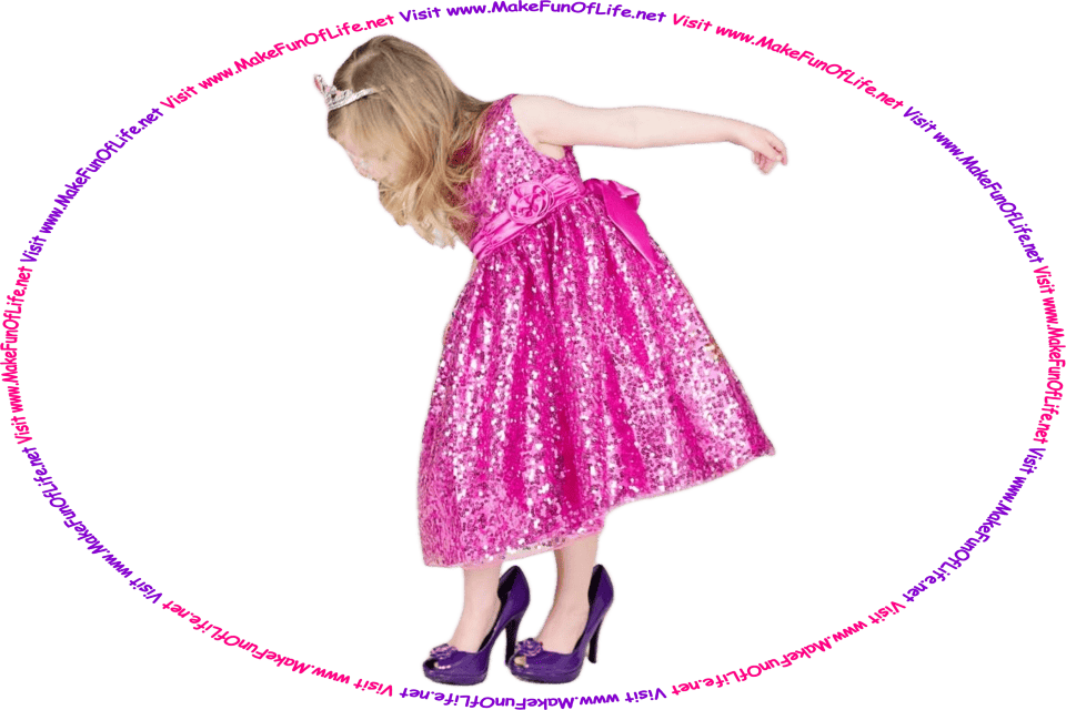 Picture of a girl playing dress up with oversized purple shoes, a pink sequin-covered dress, and a tierra, and the words, ‘Visit www.MakeFunOfLife.net.’