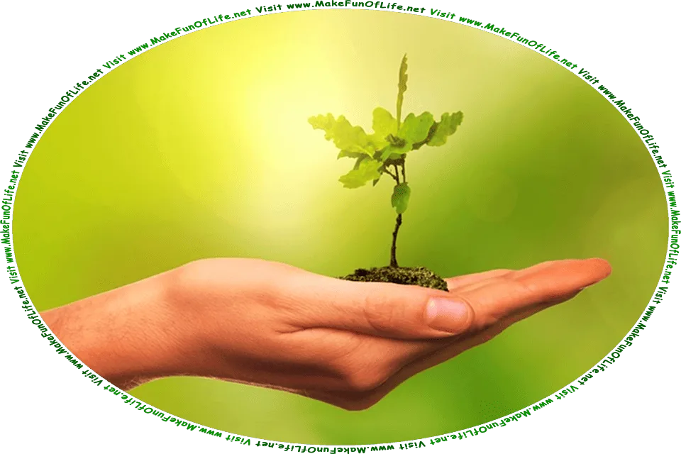 Picture of a human hand holding a clump of soil that has an oak tree sapling growing from it, and the words, Visit www.MakeFunOfLife.net.