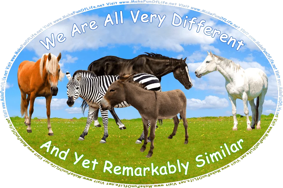 Picture of a dusty-gray donkey, a black-and-white-striped zebra, a brown horse, a black horse, and a white horse, each of varying height, standing together in a grassy area, and the words, We Are All Very Different And Yet Remarkably Similar - Visit www.MakeFunOfLife.net.