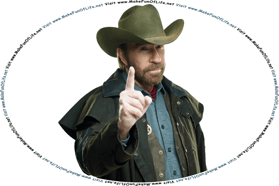 Picture of Chuck Norris wagging his finger at the viewer, and the words, Visit www.MakeFunOfLife.net.