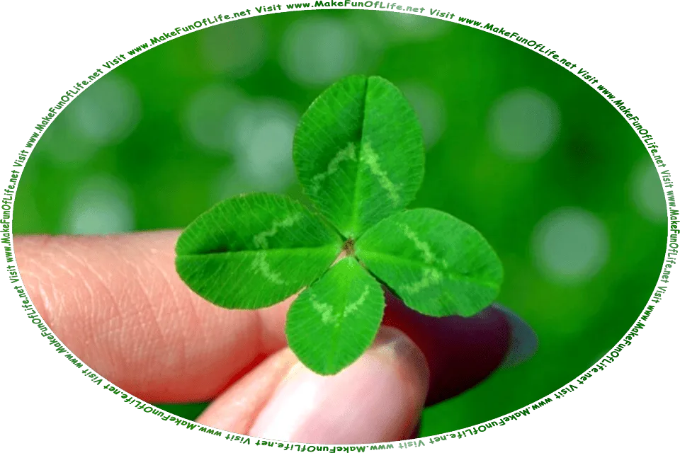 Picture of a person’s hand holding a green four-leaf clover between the fingertips, and the words, Visit www.MakeFunOfLife.net.