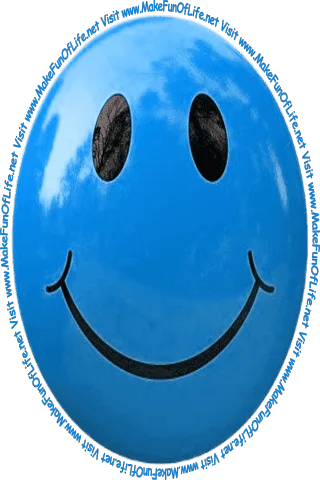Picture of a medium-light-blue smiley face and the words, 'Visit www.MakeFunOfLife.net.'