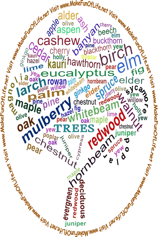 Picture of the names of various trees arranged in roughly the shape of a tree, including tree names alder, ash, mulberry, maple, and so forth, and the words, 'Visit www.MakeFunOfLife.net.'