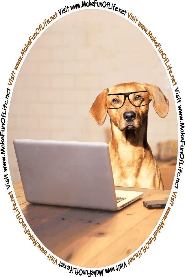 Picture of a dog wearing eyeglasses while sitting behind a laptop computer, and the words, ‘Visit www.MakeFunOfLife.net.’