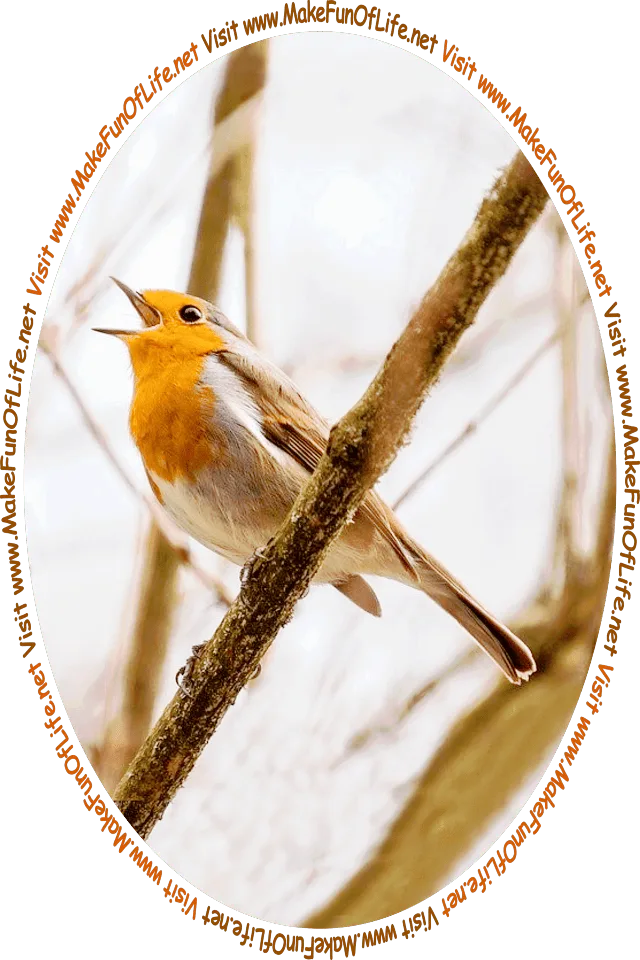 Picture in Autumn of the year of a European Robin perched on a tree branch, with its beak open while singing, under an overcast sky, and the words, ‘Visit www.MakeFunOfLife.net.’