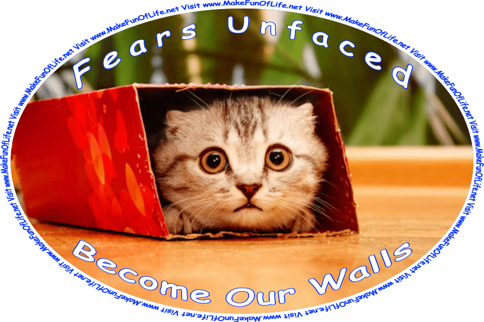Picture of a frightened-looking kitten peering out from inside a cardboard box, and the words, ‘“Fears unfaced become our walls.” -Author Unknown - Visit www.MakeFunOfLife.net.’