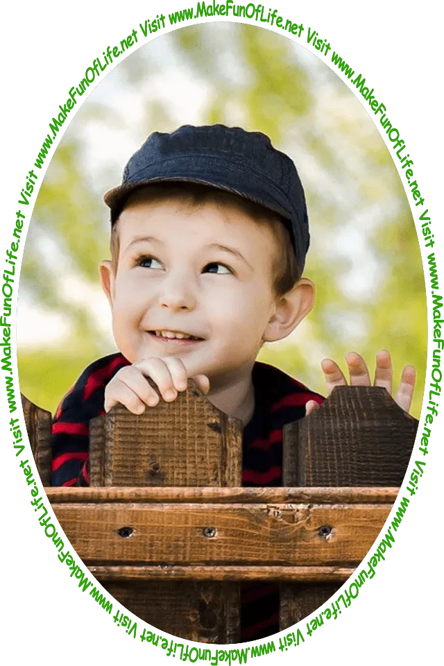 Picture of a boy looking over a wooden fence to see the words and pictures on the website, and the words, 'Visit www.MakeFunOfLife.net.'