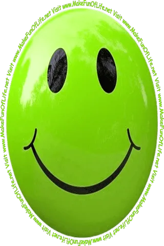 Picture of a yellowish-green smiley face and the words, 'Visit www.MakeFunOfLife.net.'