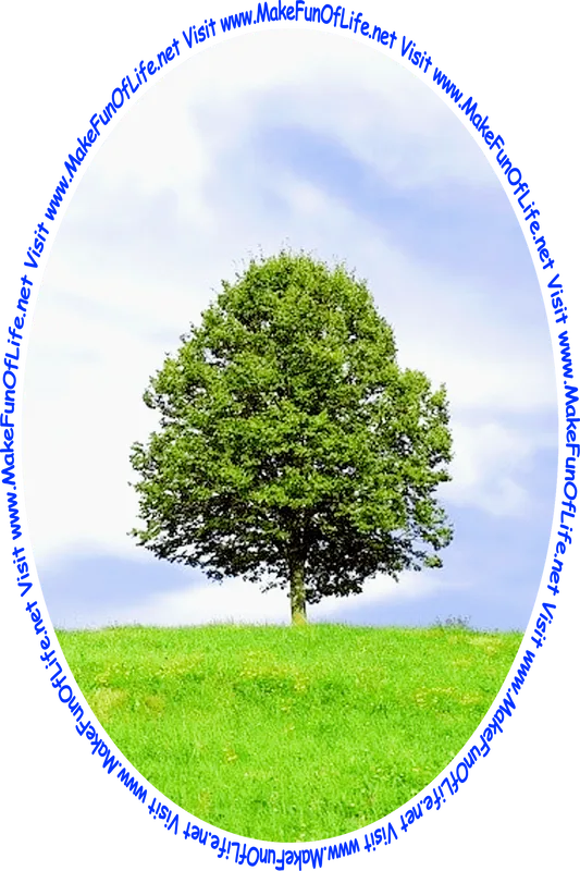 Picture of a green leafy tree in a field of green grass and yellow flowering plants with a blue sky and hazy white clouds in the background and the words, 'Visit www.MakeFunOfLife.net.'