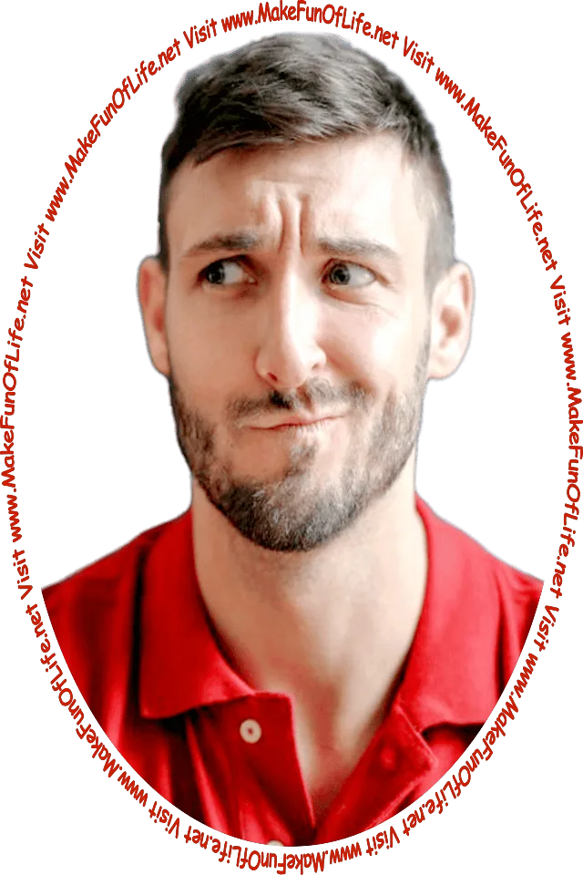 Picture of a man looking quizzically at the words and pictures on the website, and the words, 'Visit www.MakeFunOfLife.net.'