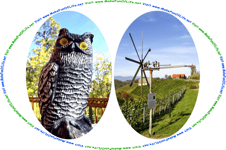 Picture of an artificial owl figure on a wooden deck and a wooden spinning noisemaker whirligig next to a crop field on a farm, and the words, Visit www.MakeFunOfLife.net.