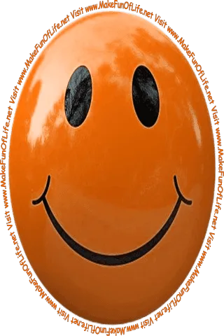Picture of an orangish-brown smiley face and the words, 'Visit www.MakeFunOfLife.net.'
