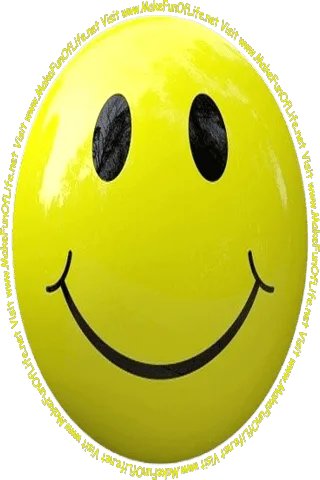 Picture of a yellow smiley face and the words, 'Visit www.MakeFunOfLife.net.'